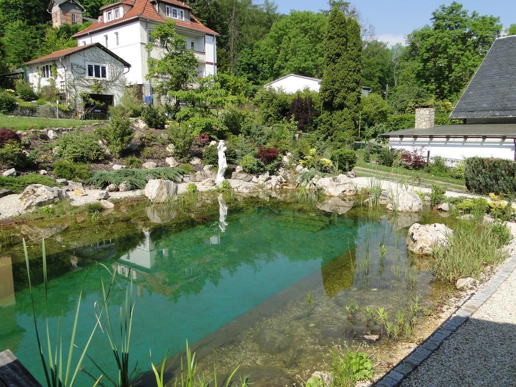 Pension Villa am Burgberg Waltershausen Exteriör bild